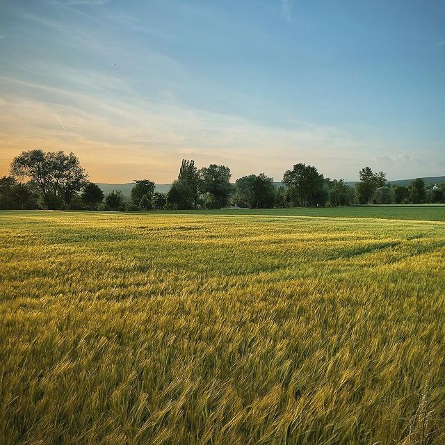 a27b2bee3a8d17f9fb935c3bd681c008